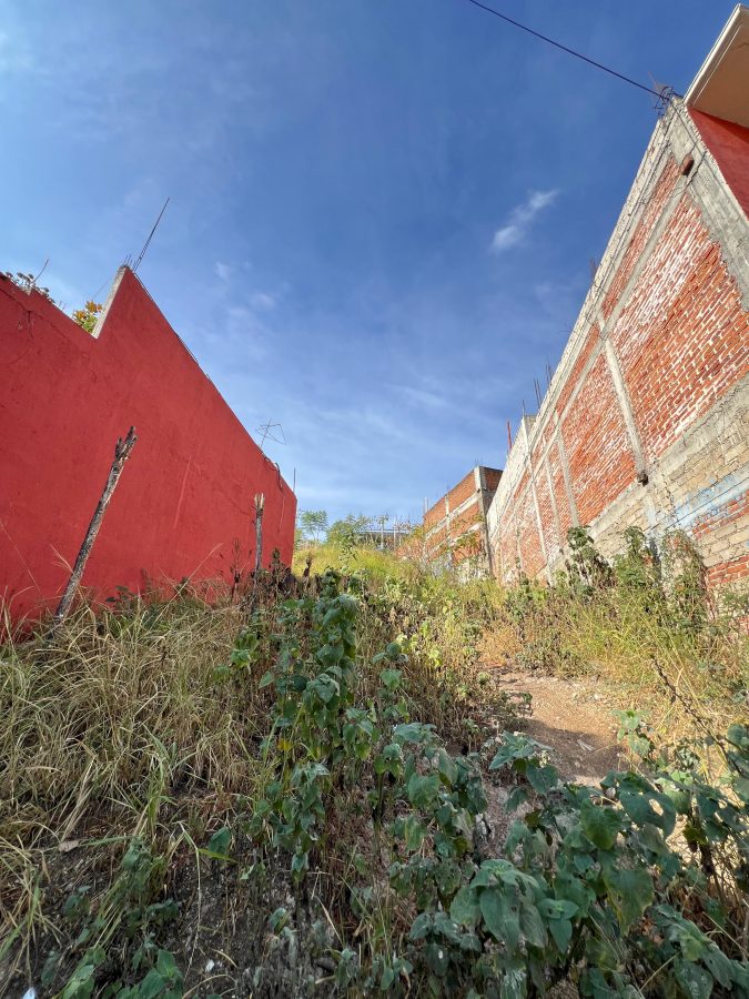 Fotografía principal de TERRENO SABINO CRESPO