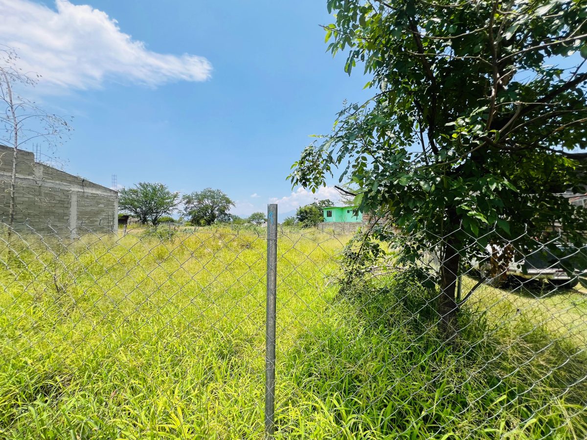Fotografía de TERRENO COL. JARDINES ZAACHILA