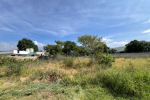 Fotografía 4 de TERRENO TLALIXTAC