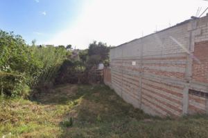 Fotografía 1 de TERRENO DONAJÍ