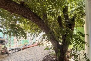 Fotografía 10 de CASA ZAACHILA