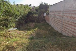 Fotografía 3 de TERRENO DONAJÍ