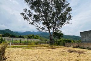Fotografía 2 de TERRENO SAN LUIS BELTRÁN