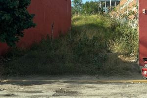 Fotografía 4 de TERRENO SABINO CRESPO